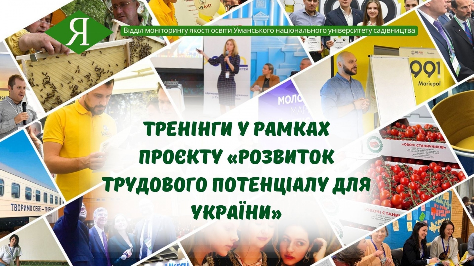 Тренінги у рамках проєкту «Розвиток трудового потенціалу для України»