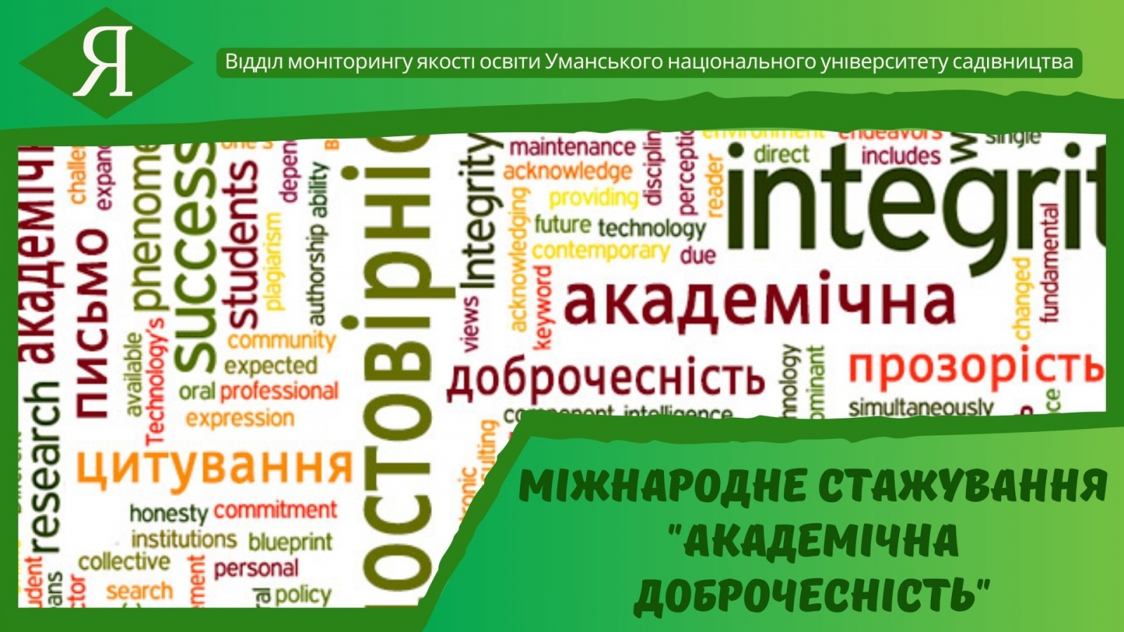 Міжнародне стажування 